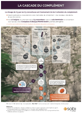 Tout comprendre sur la cascade du complément