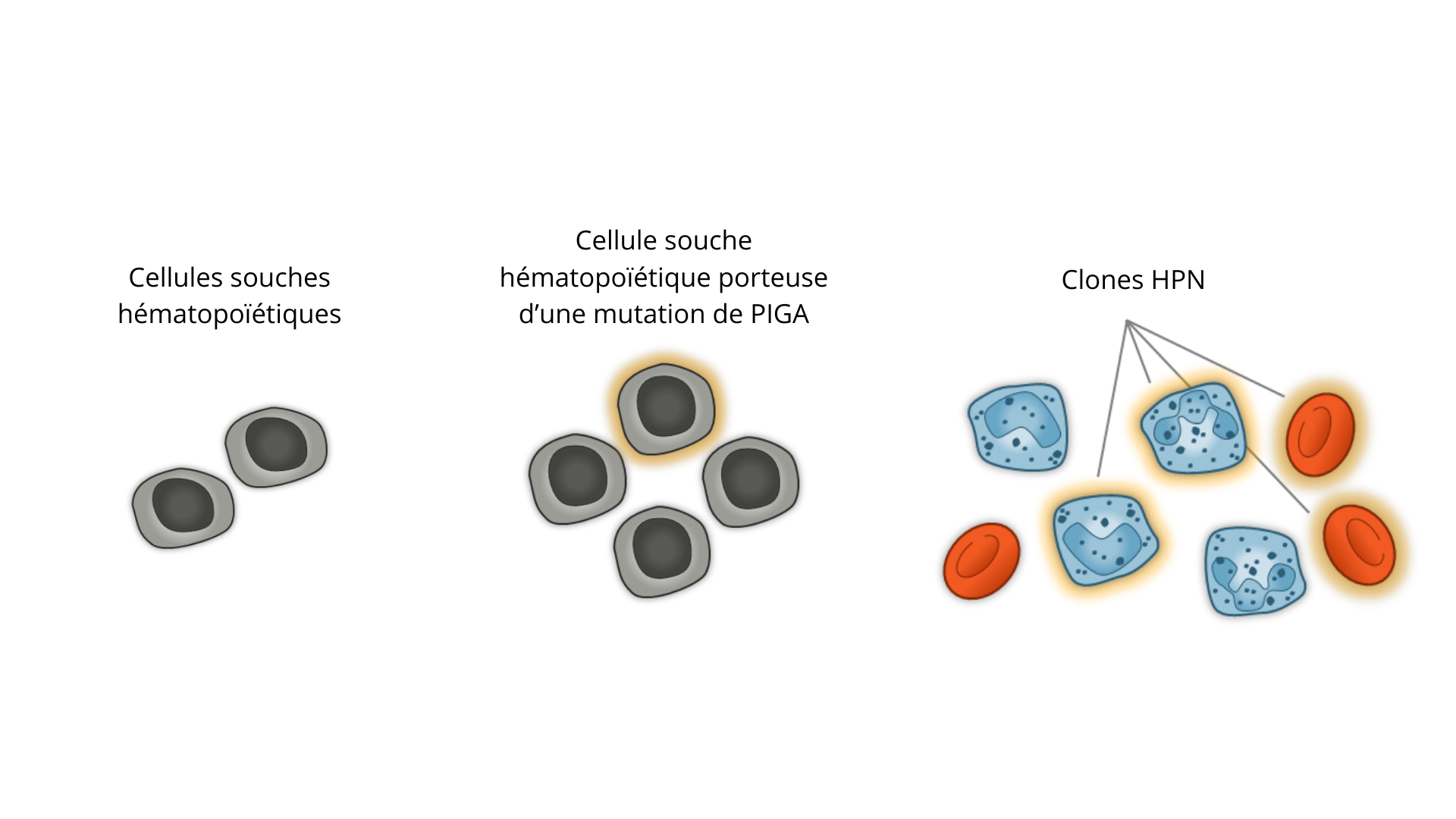 pathologie